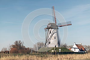 Windmill and farmhouse in a rural landscape