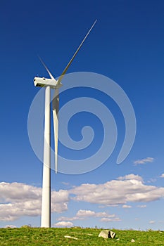 Windmill at the field