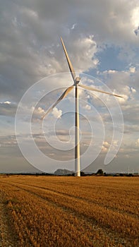 Windmill in the field during the autumn season