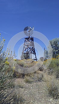 Windmill in a field of sagebrush