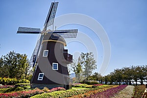 Windmill and flower beds at the Suncheonman National Garden in South Korea