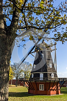 The windmill, framed by tree branches