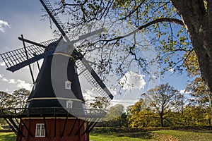 The windmill, framed by tree branches