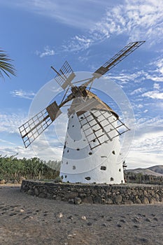 Windmill in Fuentaventura