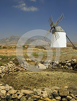 Windmill - Fuerteventura - Canary Islands photo