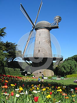 Windmill in Golden Gate Park