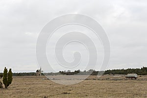 Windmill on Gotland, Sweden