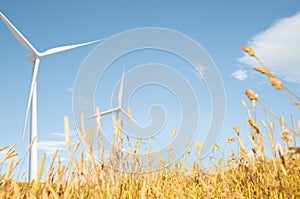 Windmill Grassland Field Hill Natural Scenics Concept