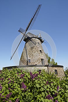 Windmill Hartum Hille, Germany