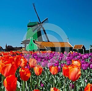 Windmill in holland