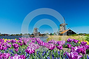 Windmill in holland