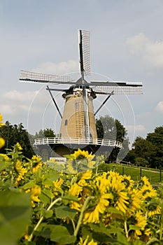 Windmill in Holland