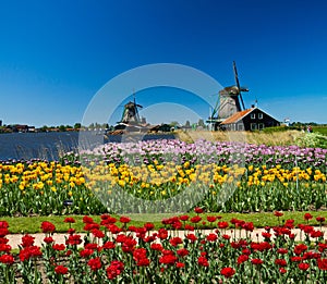 Windmill in holland