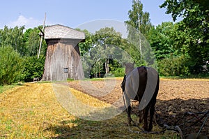 Windmill and the horse photo