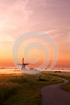 Windmill and horses on pasture at sunrise