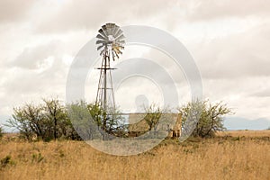 Windmill in the Karoo