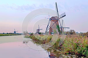 Windmill in Kinderdijk