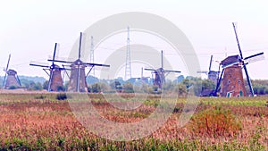 Windmill in Kinderdijk