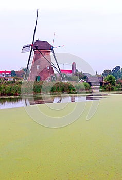 Windmill in Kinderdijk in vertical