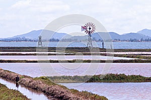 Windmill in the lake