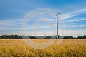 Windmill in landscape with yellow wheat field, forest and red house in the background. Dramatic spectacular blue sky with clouds