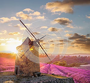 Windmill with levander field against colorful sunset in Provence, France