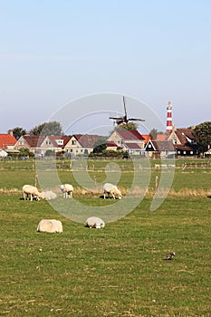 Windmill and lighthouse of Hollum Ameland, Holland photo