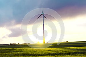 Windmill on a Meadow - Masurian Landscape