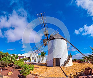 Windmill at museum of Majorero cheese at Fuerteventura, Canary Islands, Spain photo