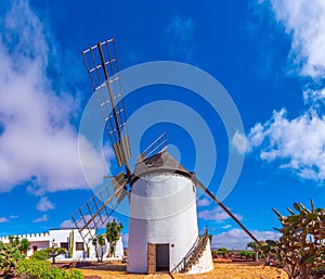 Windmill at museum of Majorero cheese at Fuerteventura, Canary Islands, Spain photo