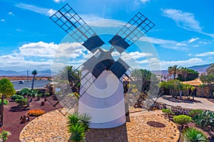 Windmill at museum of Majorero cheese at Fuerteventura, Canary Islands, Spain photo