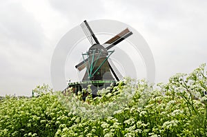 Windmill of netherland