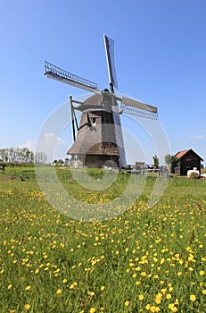 Windmill in The Netherlands