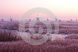 Windmill in the Netherlands at sunset