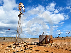 Windmill in the Outback, Australia