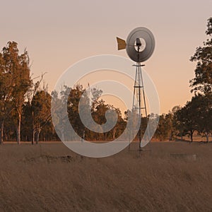 Windmill in a paddock