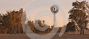 Windmill in a paddock