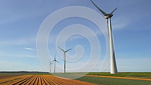 Windmill park in spring with tulip flowers, drone aerial view of windmill turbines generating green energy electric