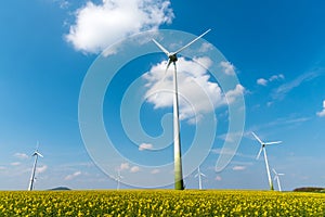 Windmill-powered plant and rapeseed field