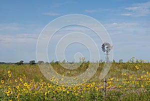 Windmill on a Prairie with Native Sunflowers in the Foreground