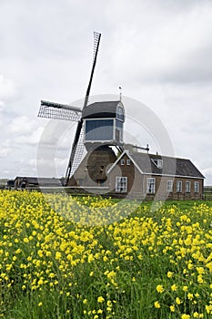 Windmill and