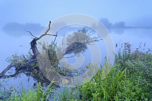 Windmill reflected in river and dense fog