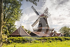 Windmill Rhaude in green nature in the county of Leer, East Frisia, Lower Saxony, Germany photo