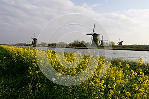 Windmill on river side