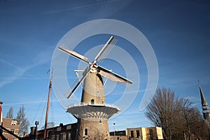 Windmill roode Leeuw in the old harbor of Gouda