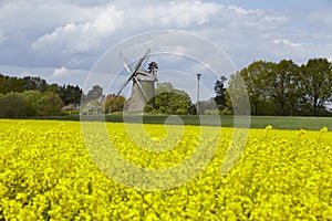 Windmill Seelenfeld (Petershagen, Germany) with colza field