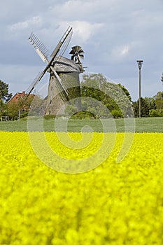 Windmill Seelenfeld (Petershagen, Germany) with colza field