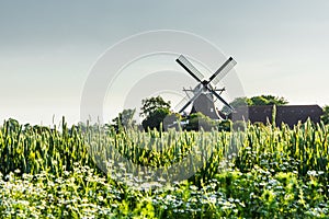 Windmill Seriemer Muehle in rural landscape, East Frisia, Lower Saxony, Germany photo