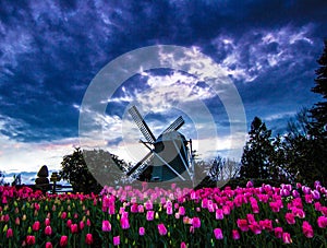 Windmill of Skagit Valley