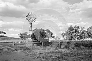 Windmill and stock pen bush and tree landscape day monochrome rural Australia Mudgee region New South Wales